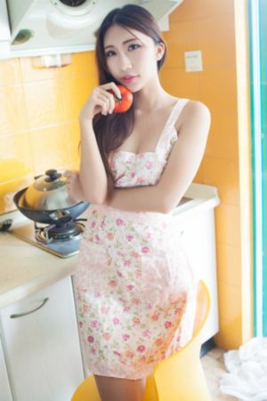 荒江女侠国语