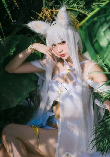 天装战队护星者